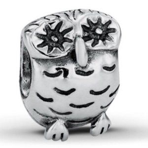 Retired Wise Owl Pandora Charm